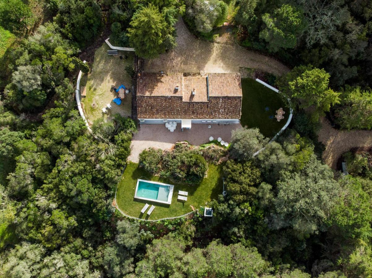Quinta Da Arrabida Villa Sesimbra Eksteriør bilde